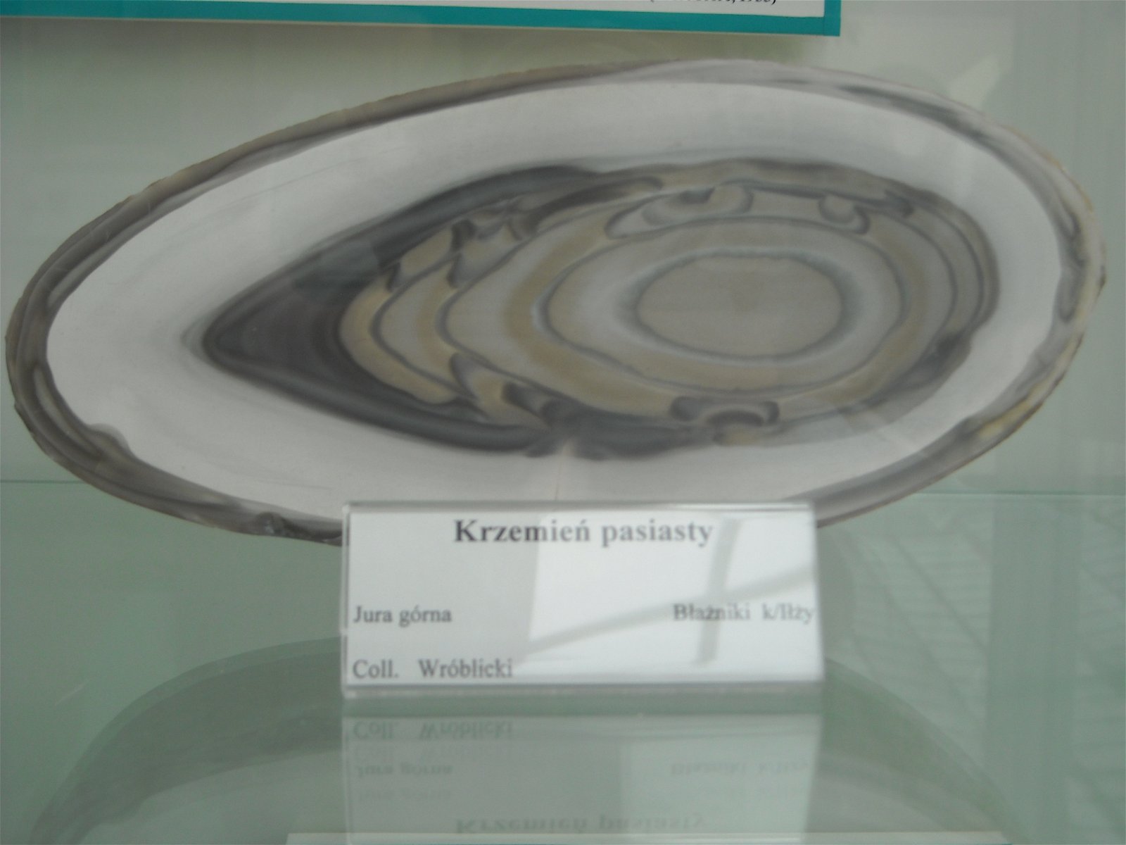 Geological Museum of the Polish Geological Institute