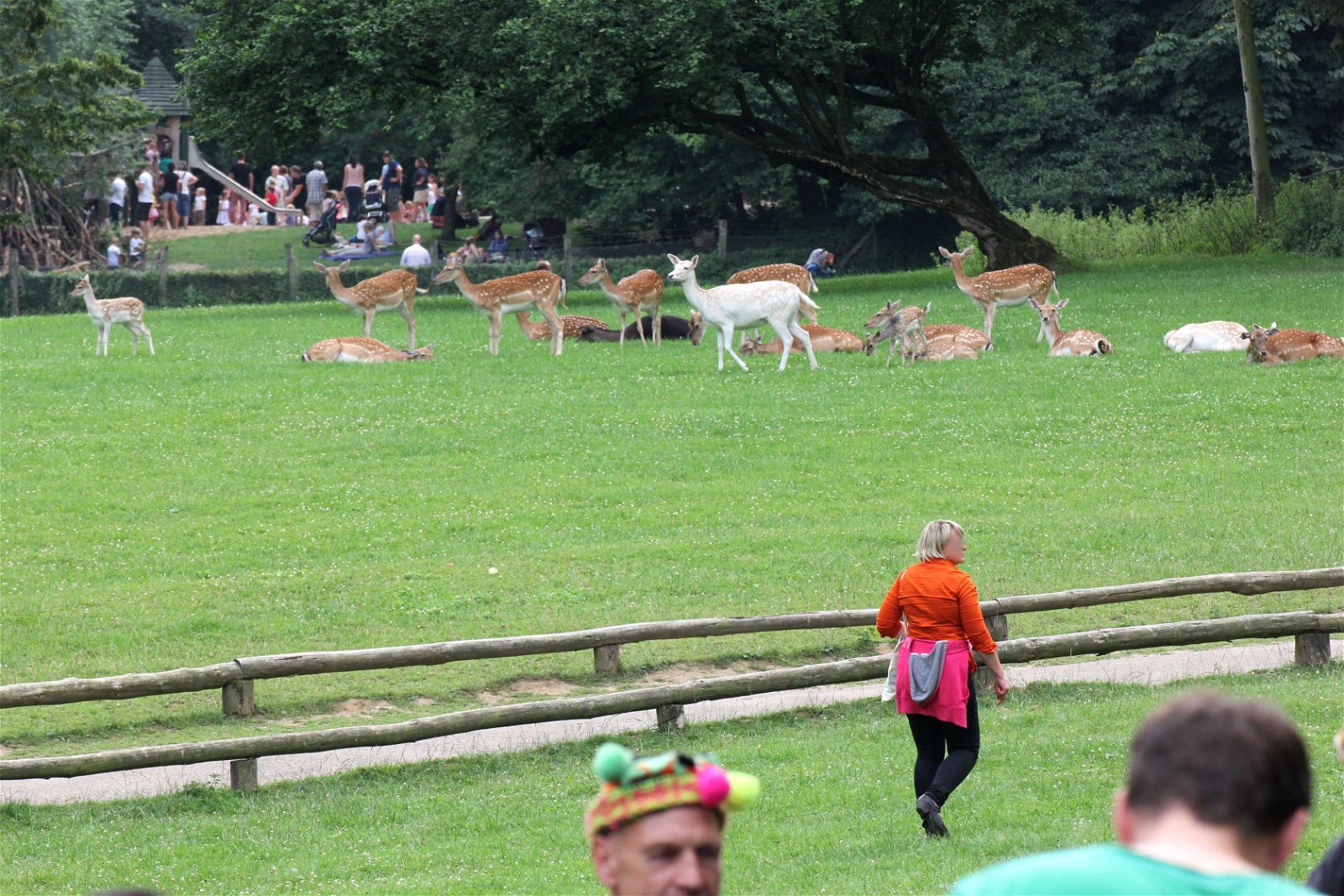 Wildpark im Grafenberger Wald
