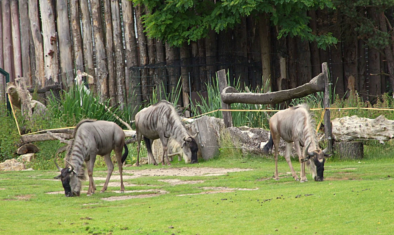 Zoologischer Garten Leipzig