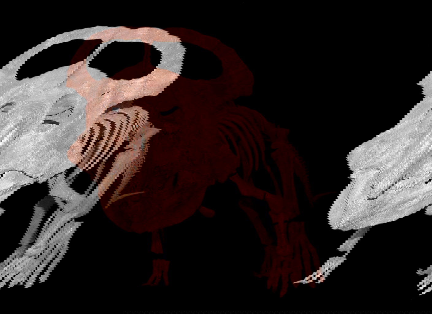 Natural History Museum