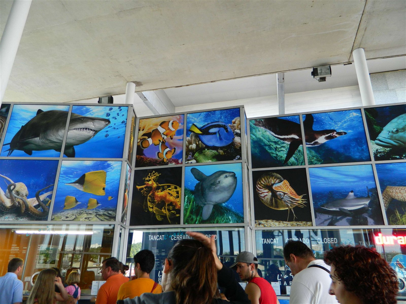 L’Aquàrium de Barcelona