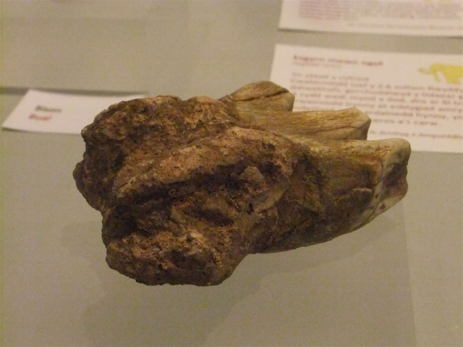 Wrexham County Borough Museum and Archives