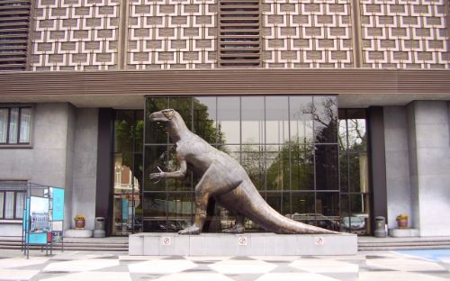 Natural Science Museum of Belgium