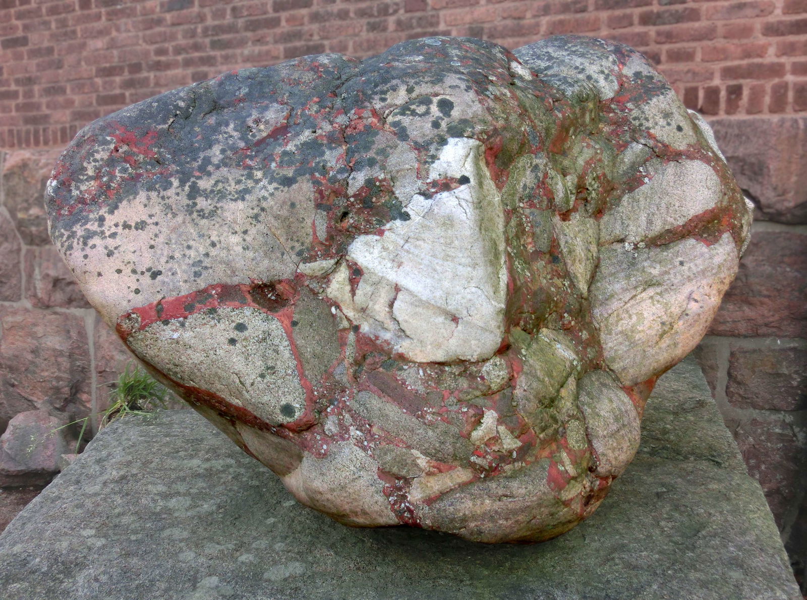 Göteborg Natural History Museum