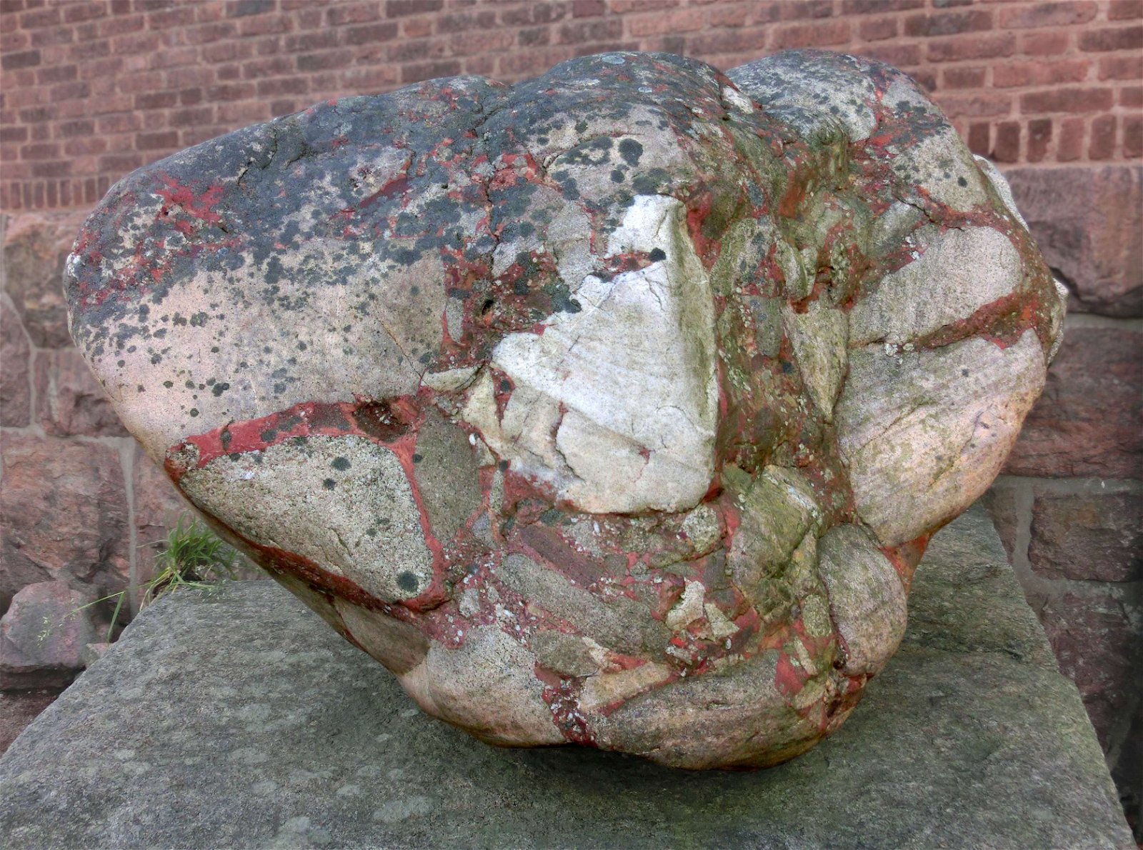 Göteborg Natural History Museum