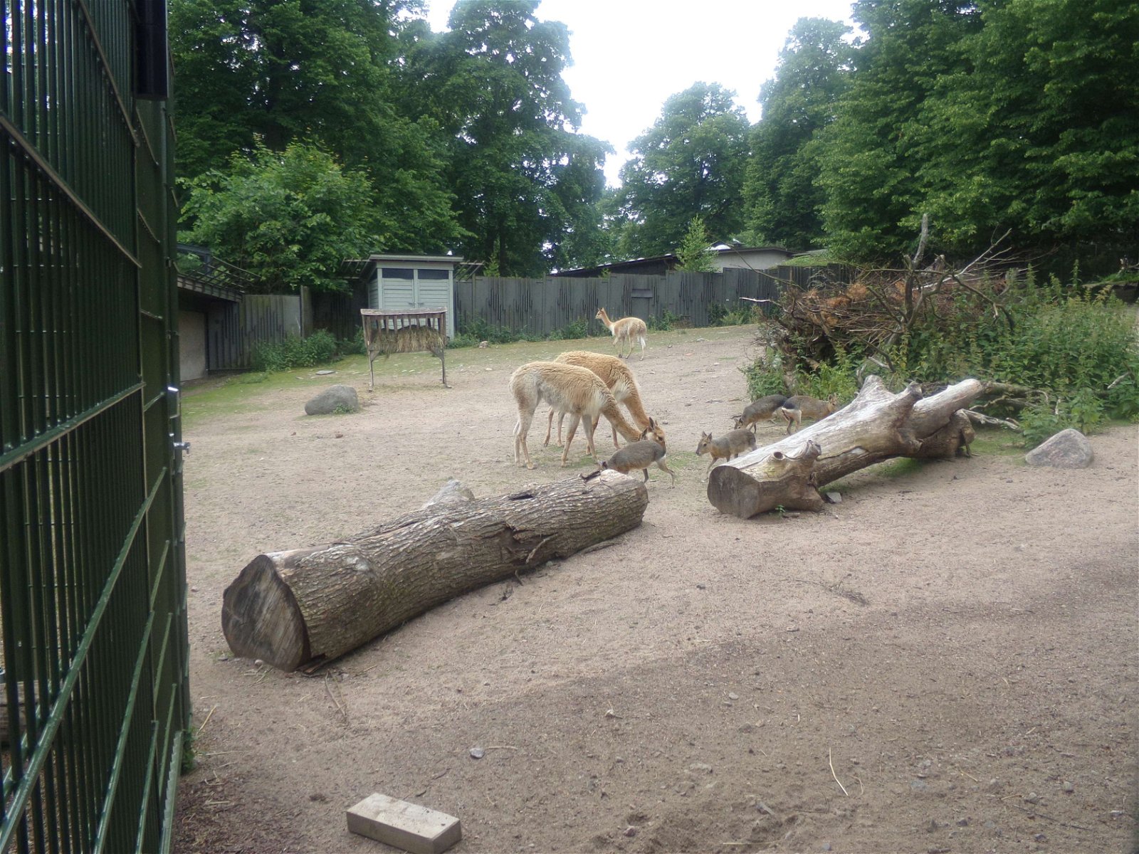 Helsinki Zoo