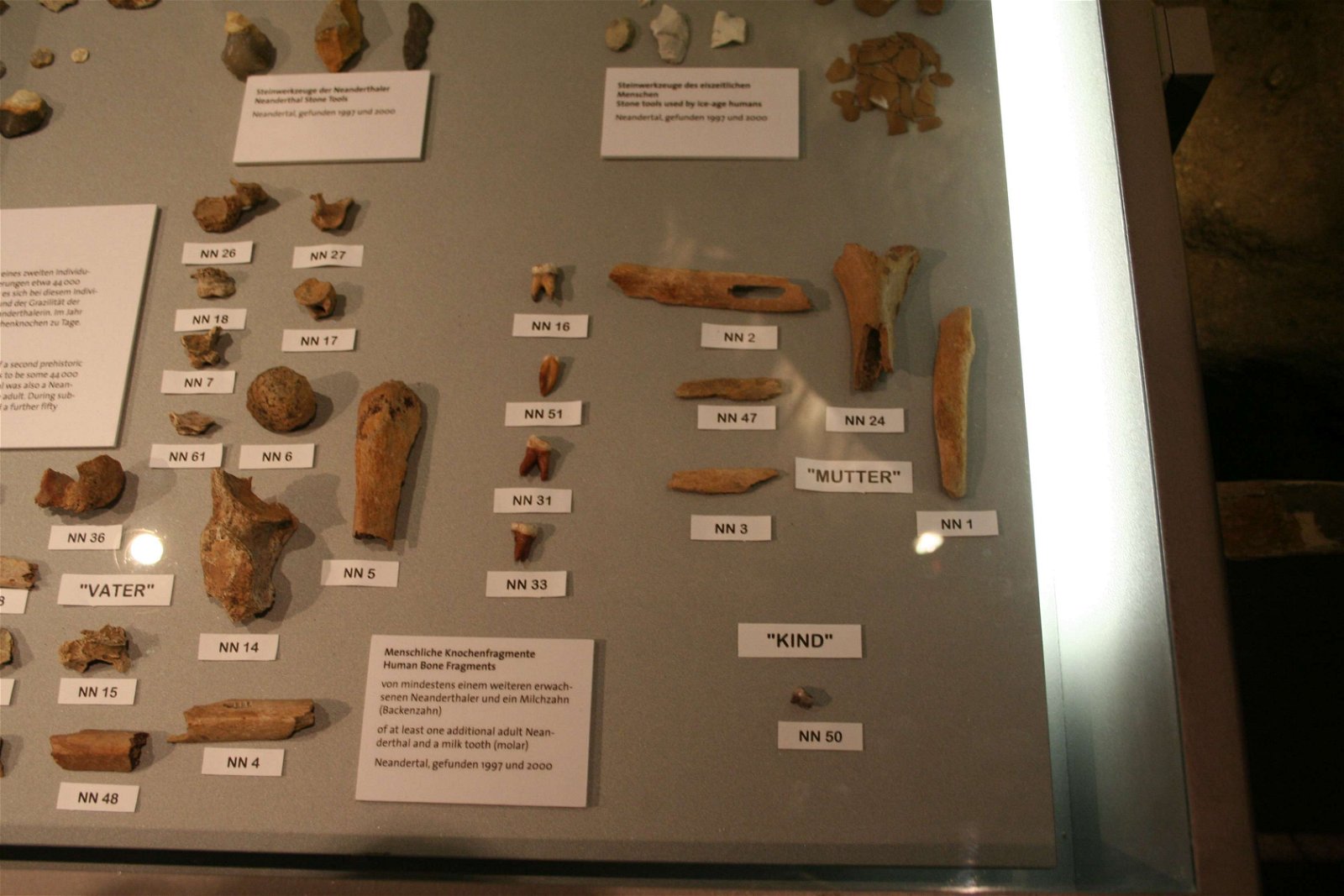 Neanderthal Museum