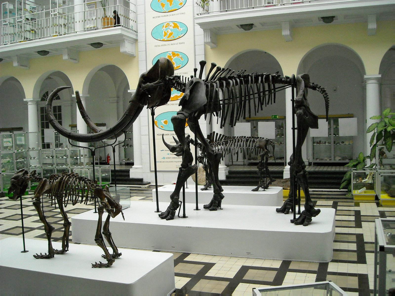 Geological Museum of the Polish Geological Institute