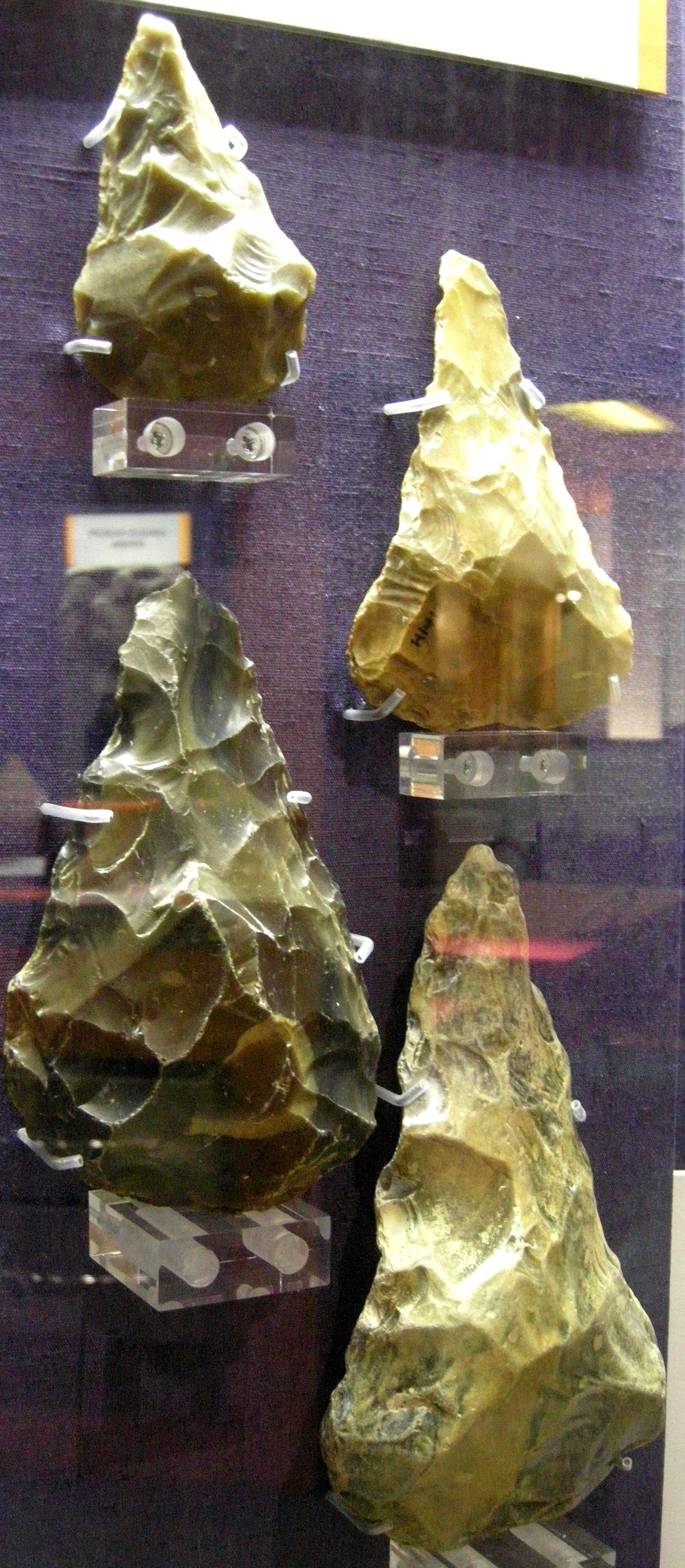 The Seaside Museum, Herne Bay