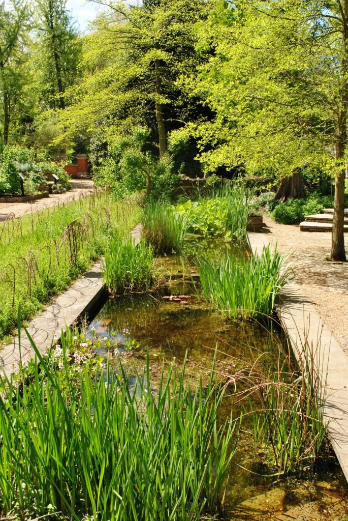 Chelsea Physic Garden