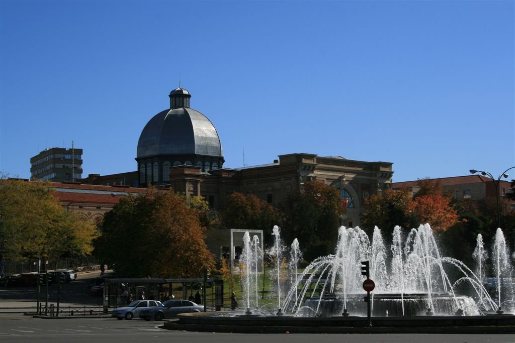 National Museum of Natural Sciences of Spain