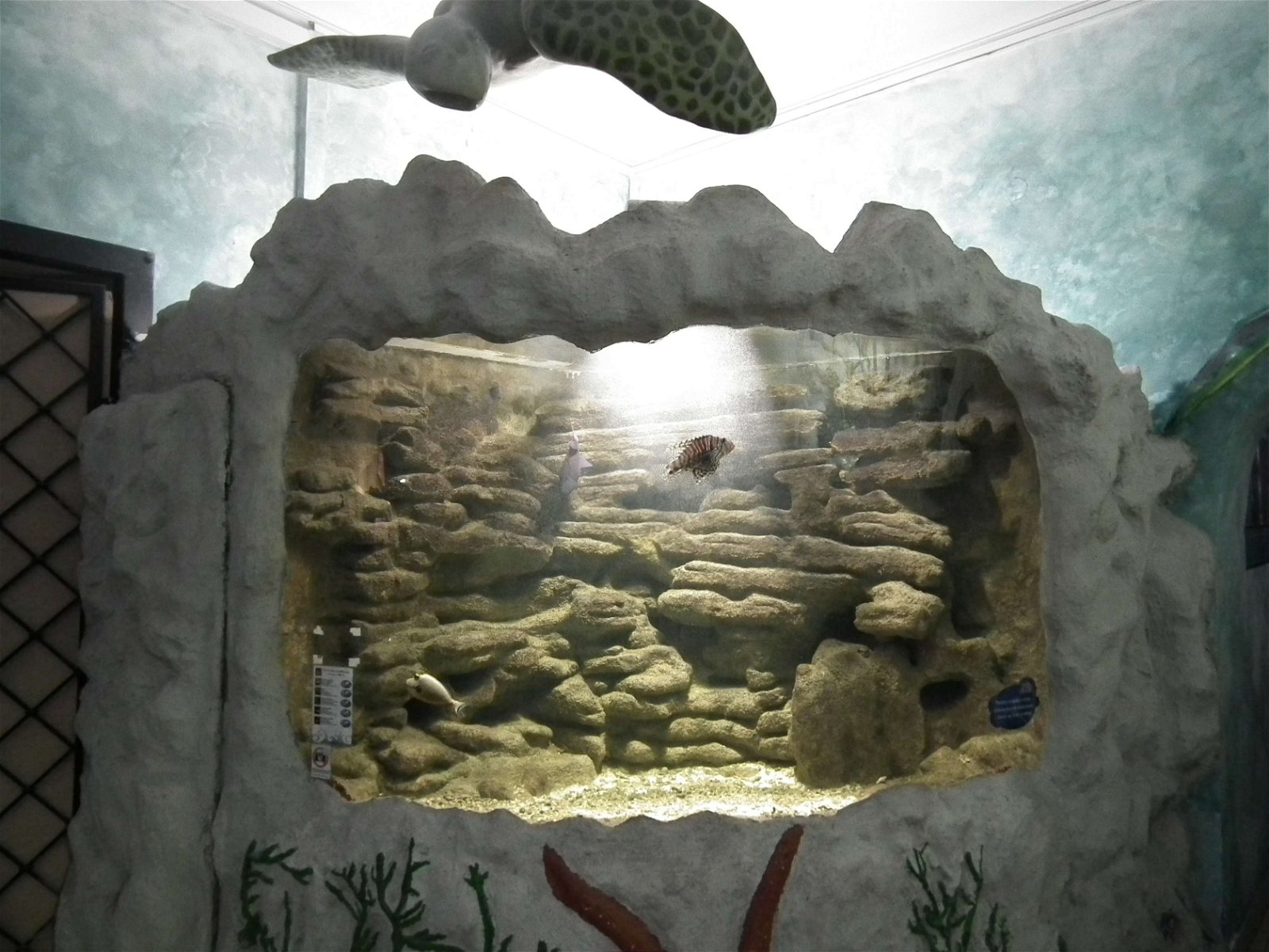 Aquarium and Museum of Natural History in Krakow