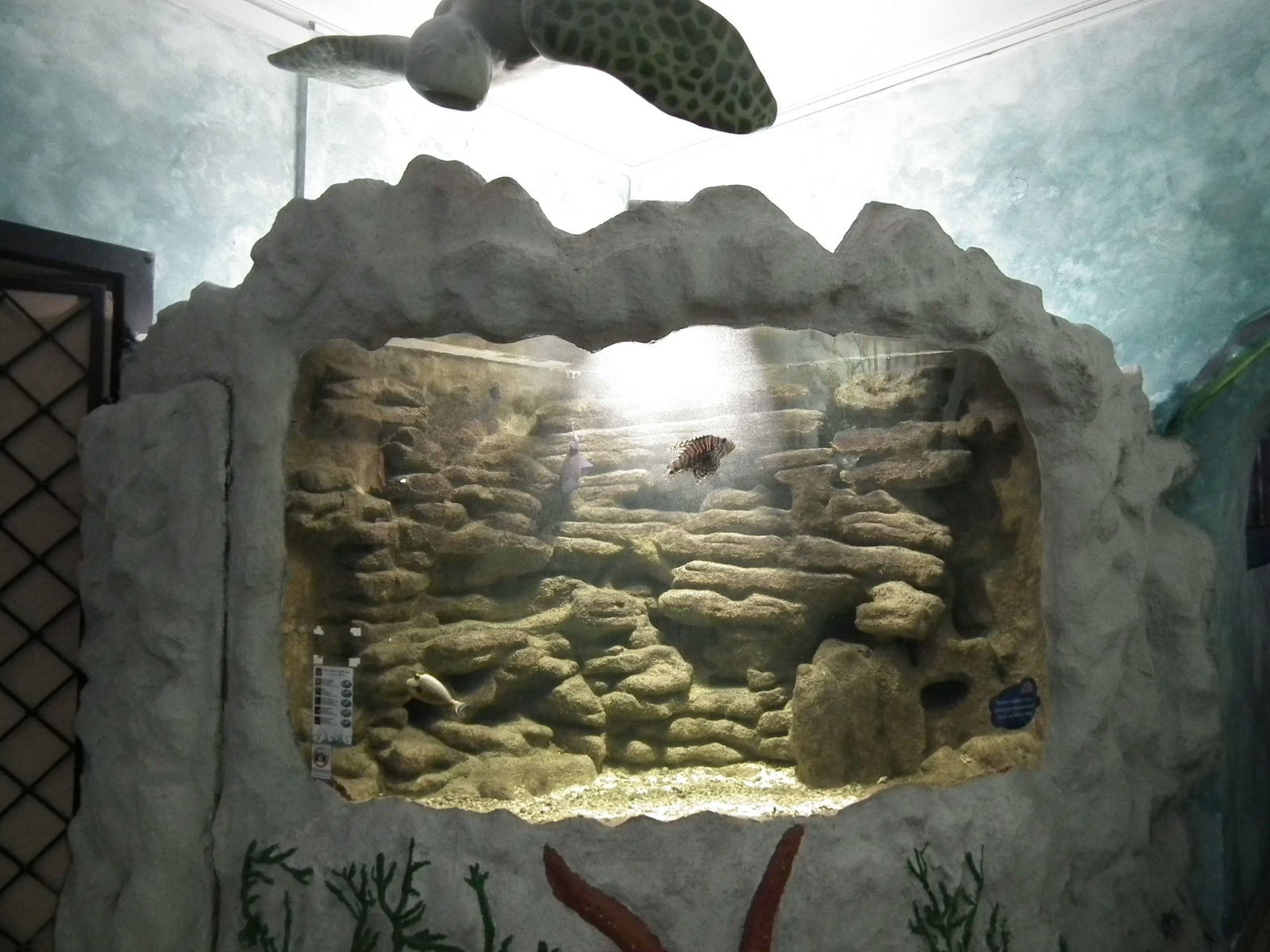 Aquarium and Museum of Natural History in Krakow