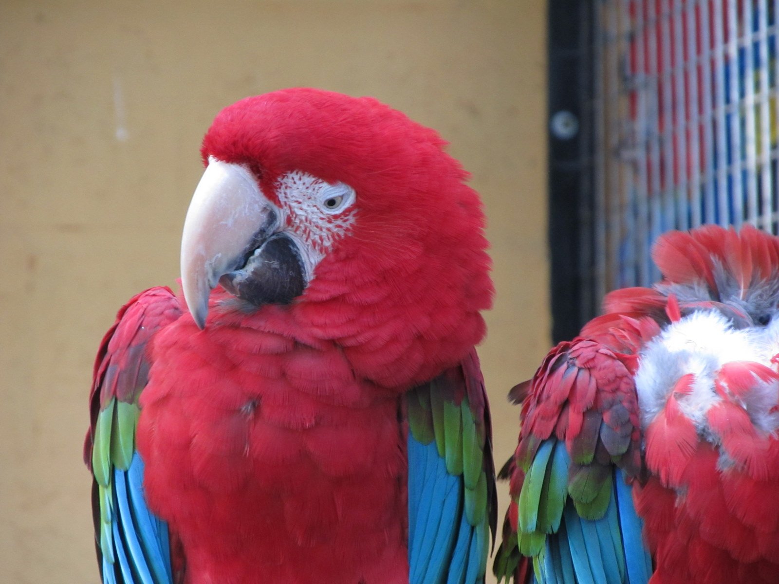 Familiepark Harry Malter