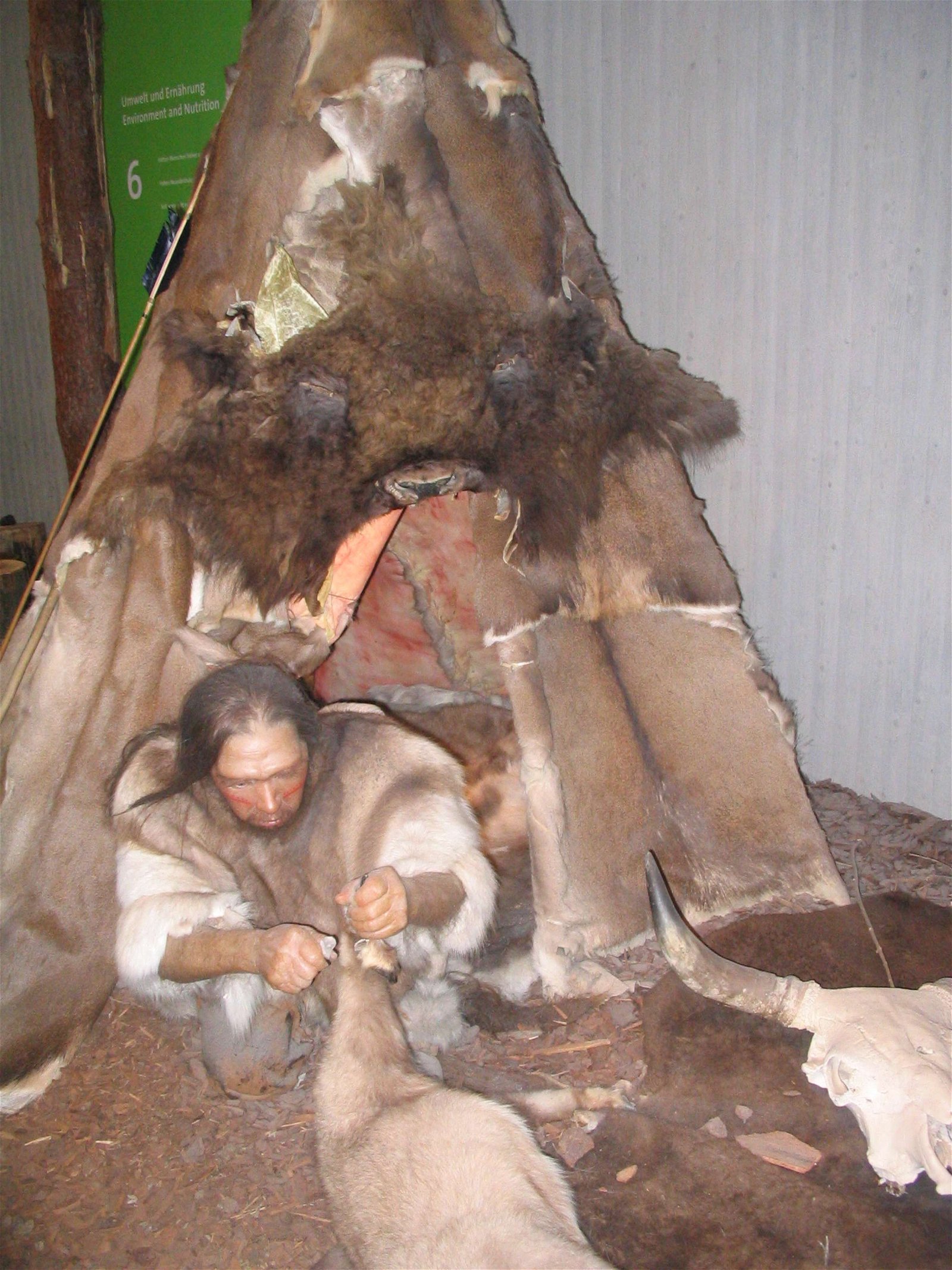 Neanderthal Museum