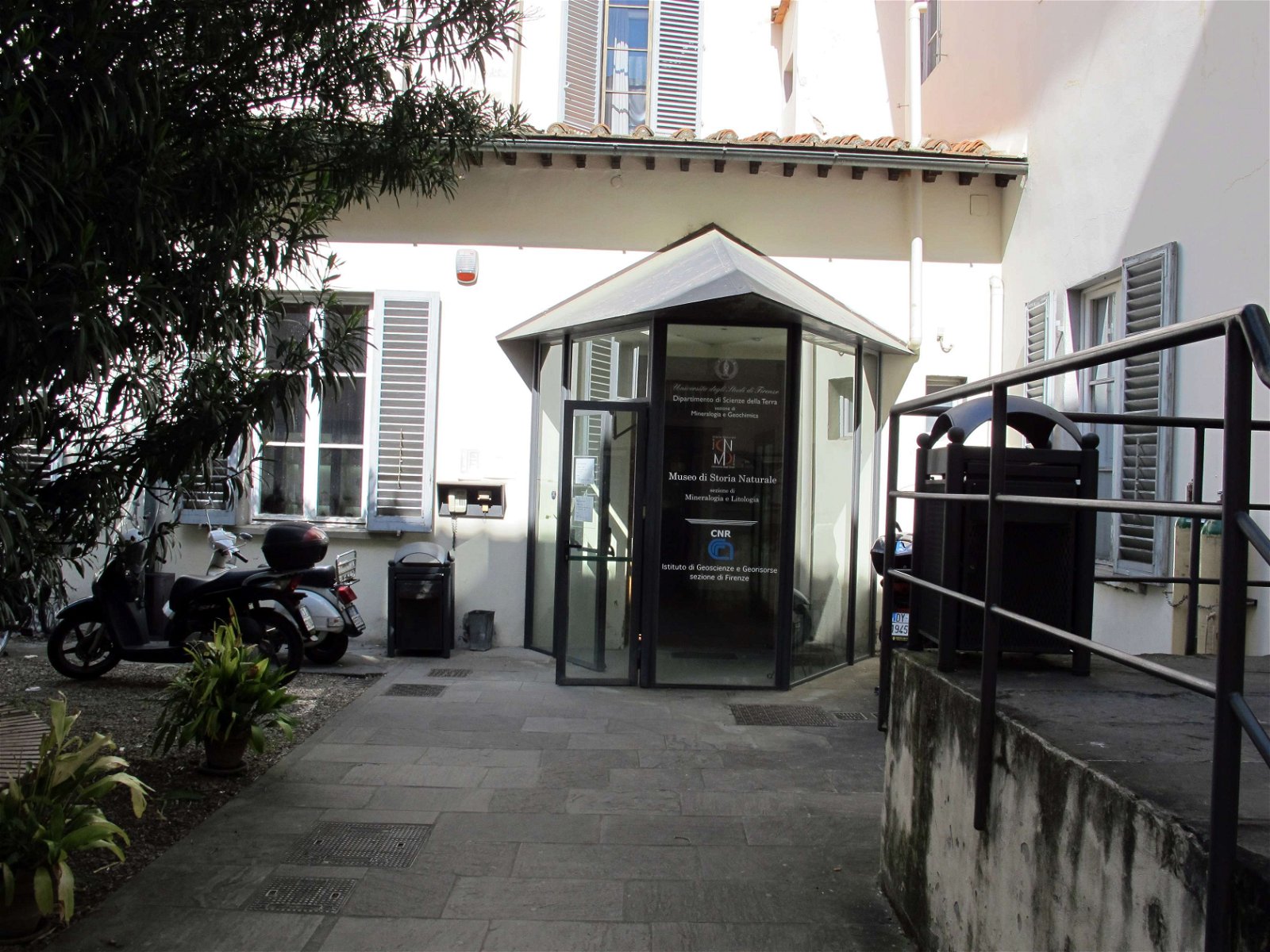 University of Florence Natural History Museum - Geology and Paleontology