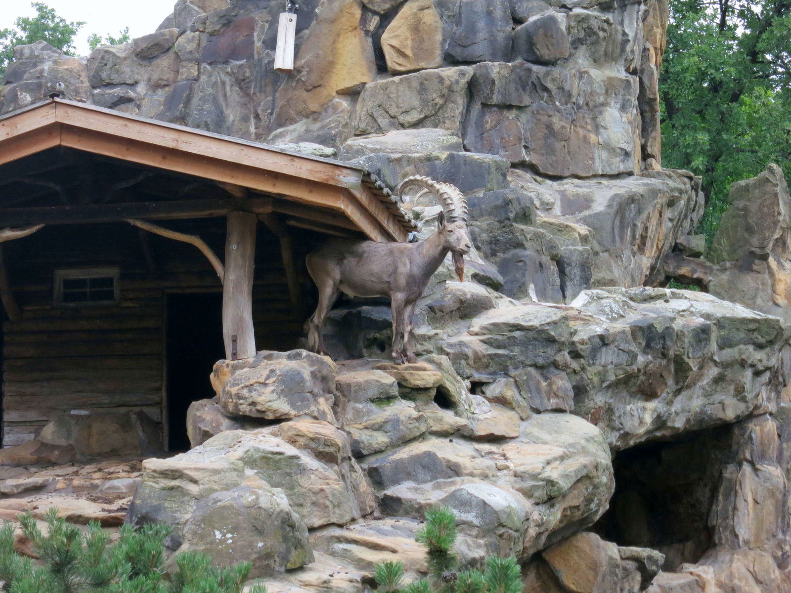 Berlin Zoological Garden