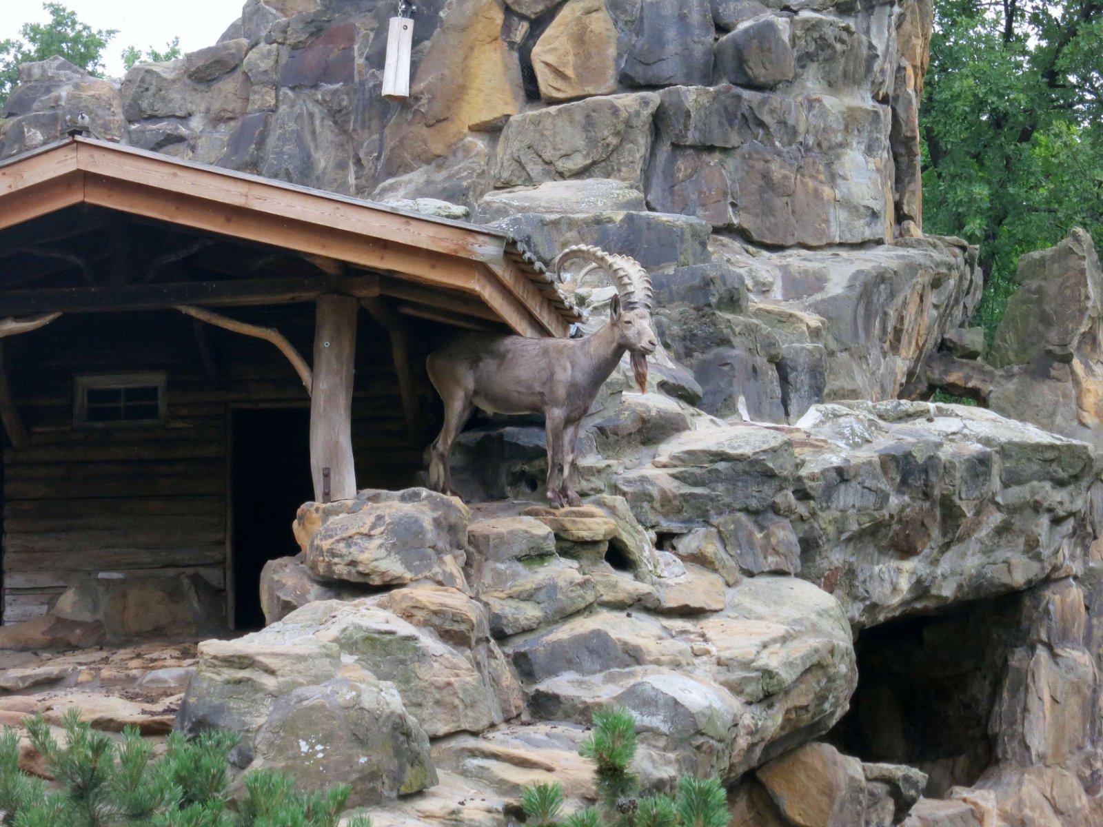 Berlin Zoological Garden