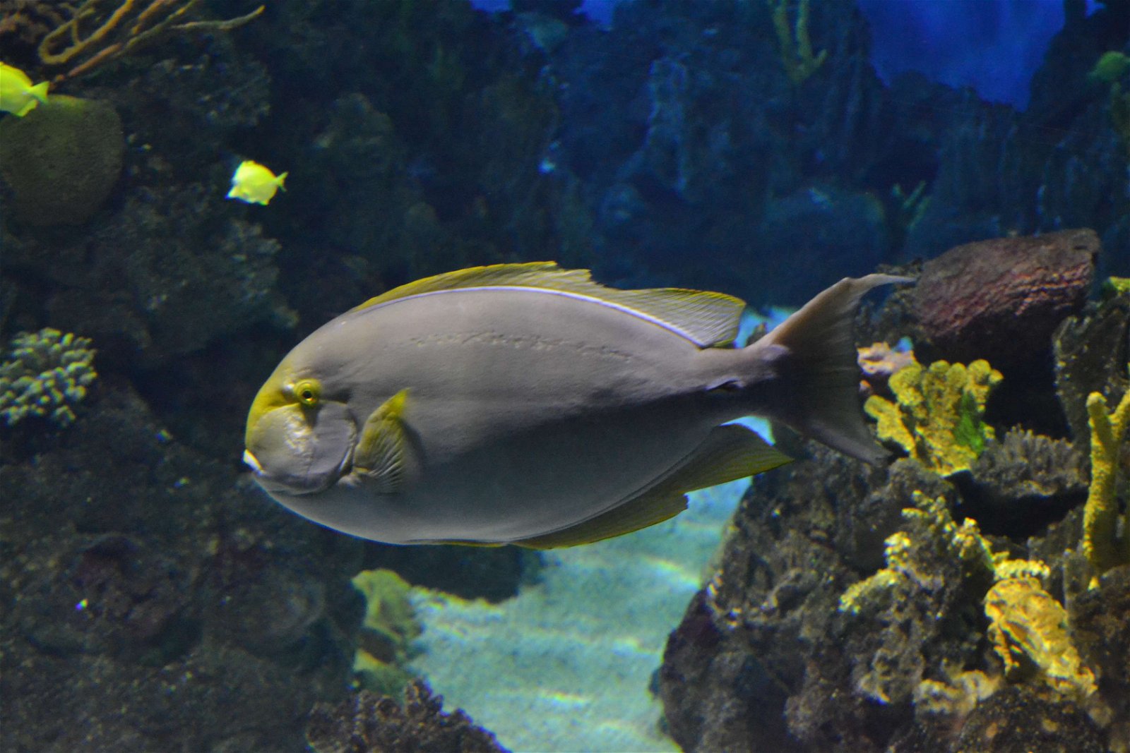 L’Aquàrium de Barcelona
