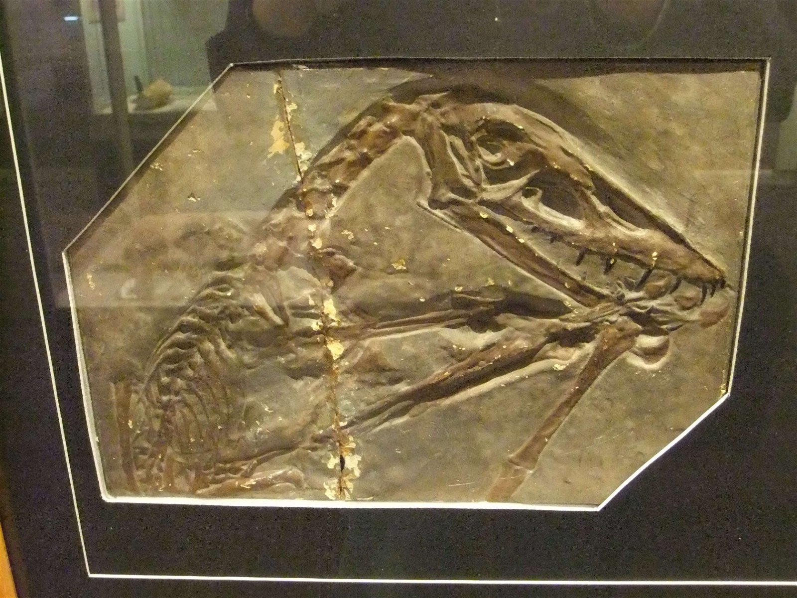 Wrexham County Borough Museum and Archives