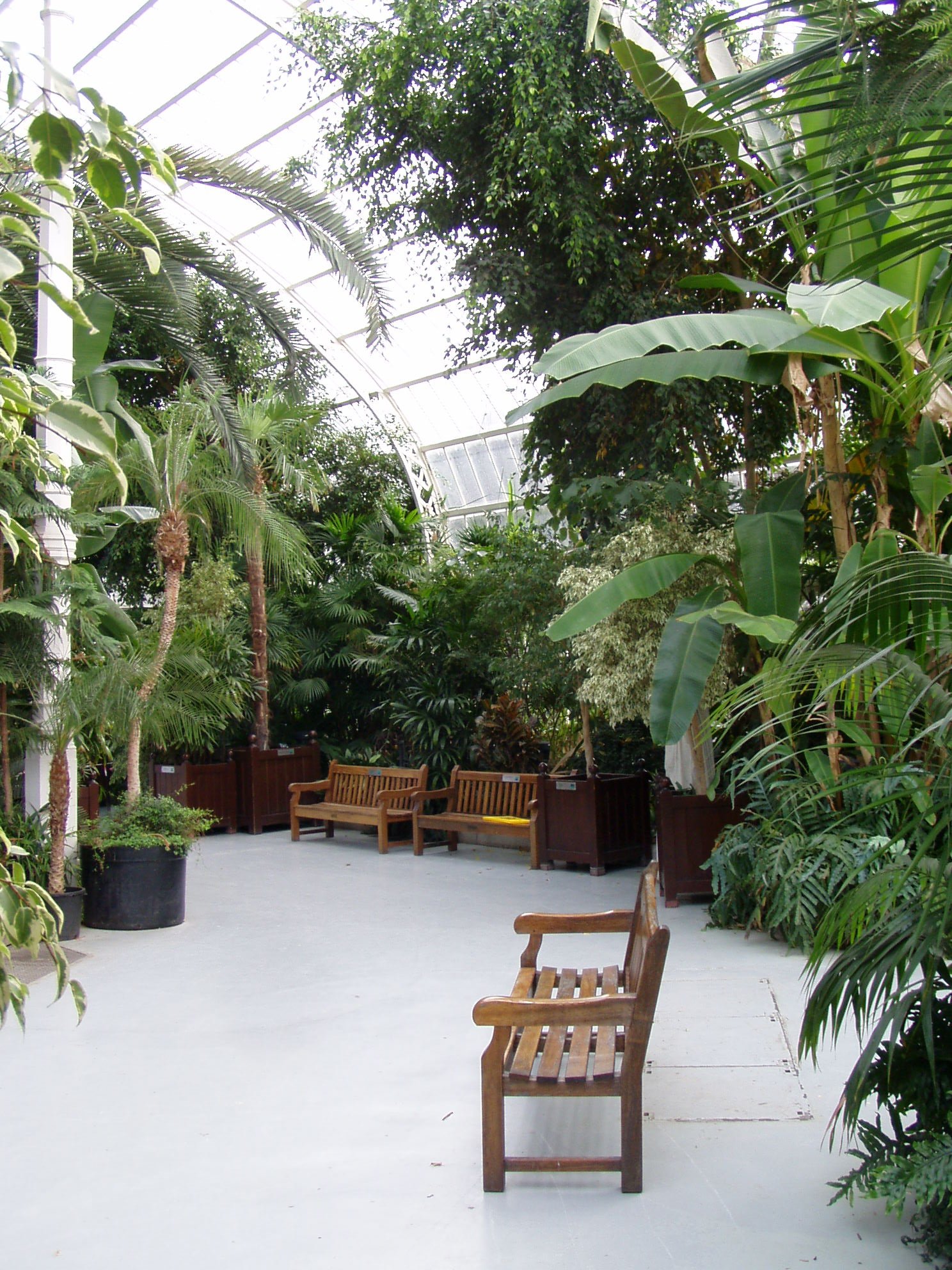 Sefton Park Palm House