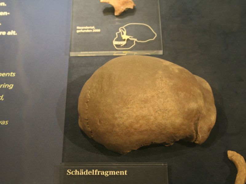 Neanderthal Museum
