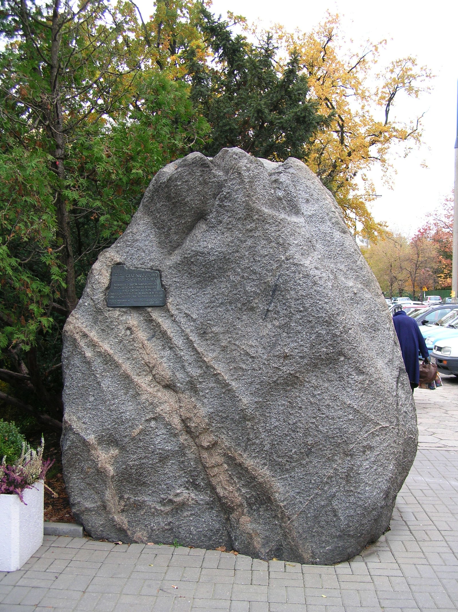 Geological Museum of the Polish Geological Institute