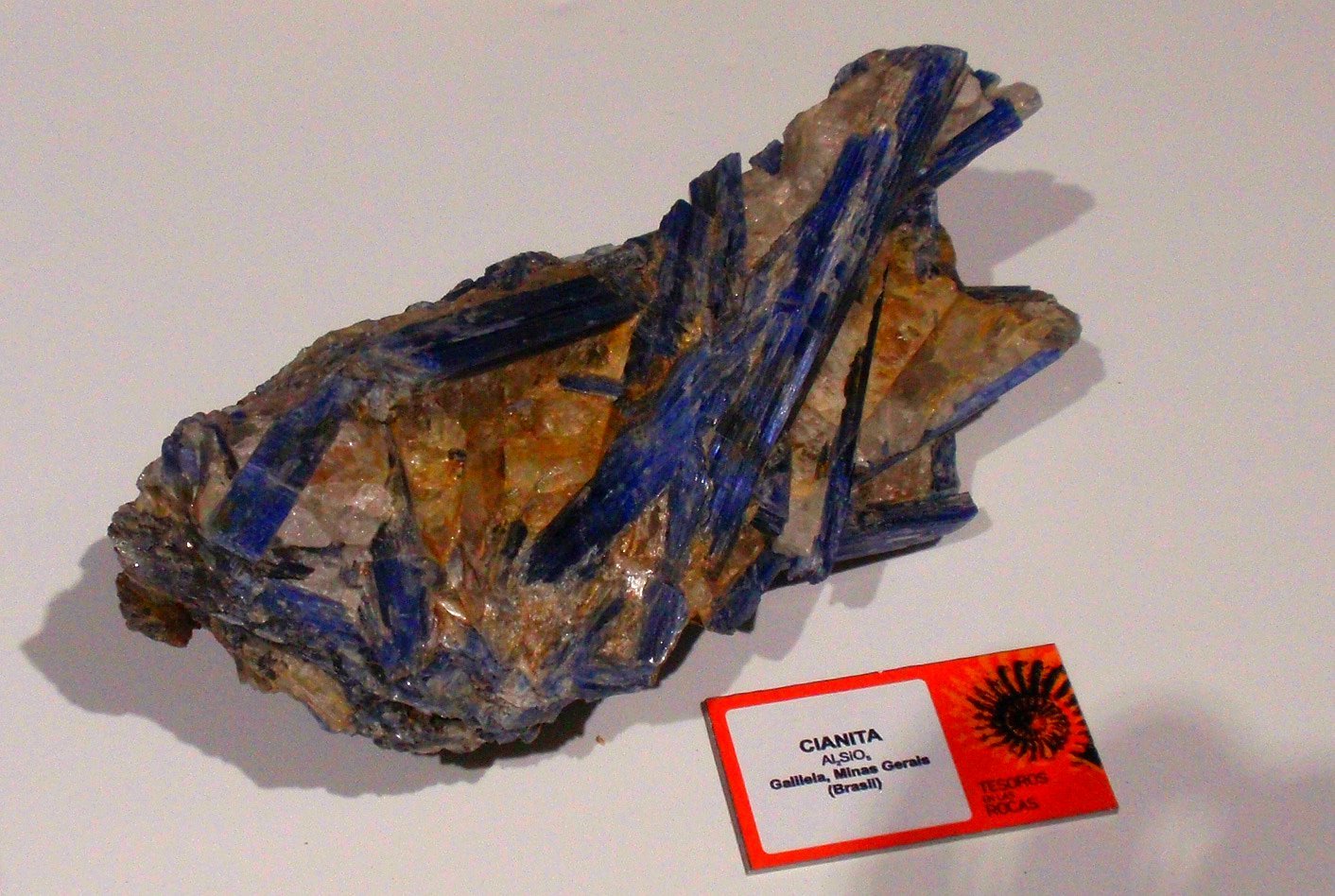 Museo Elder de la Ciencia y la Tecnología