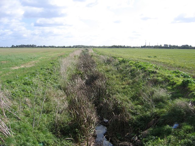 Flag Fen Archaeology Park
