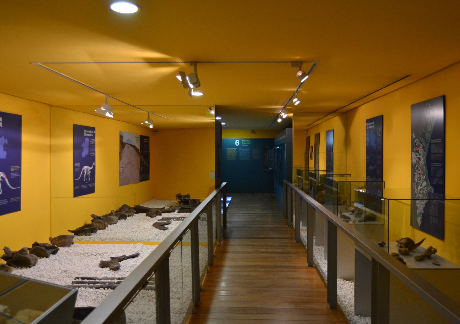 Museum of Natural Science