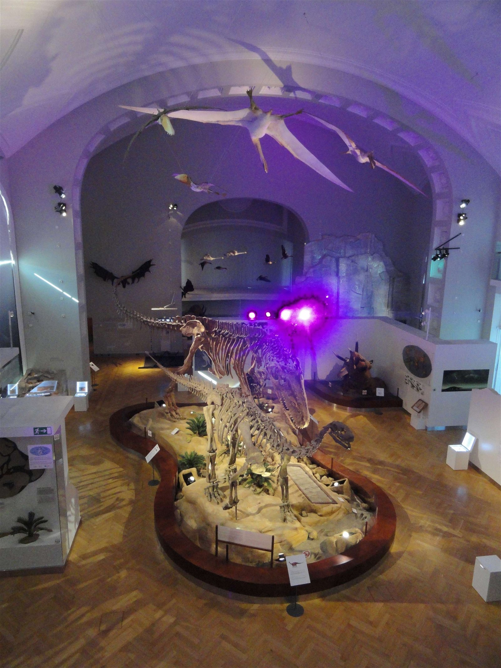 Finnish Museum of Natural History