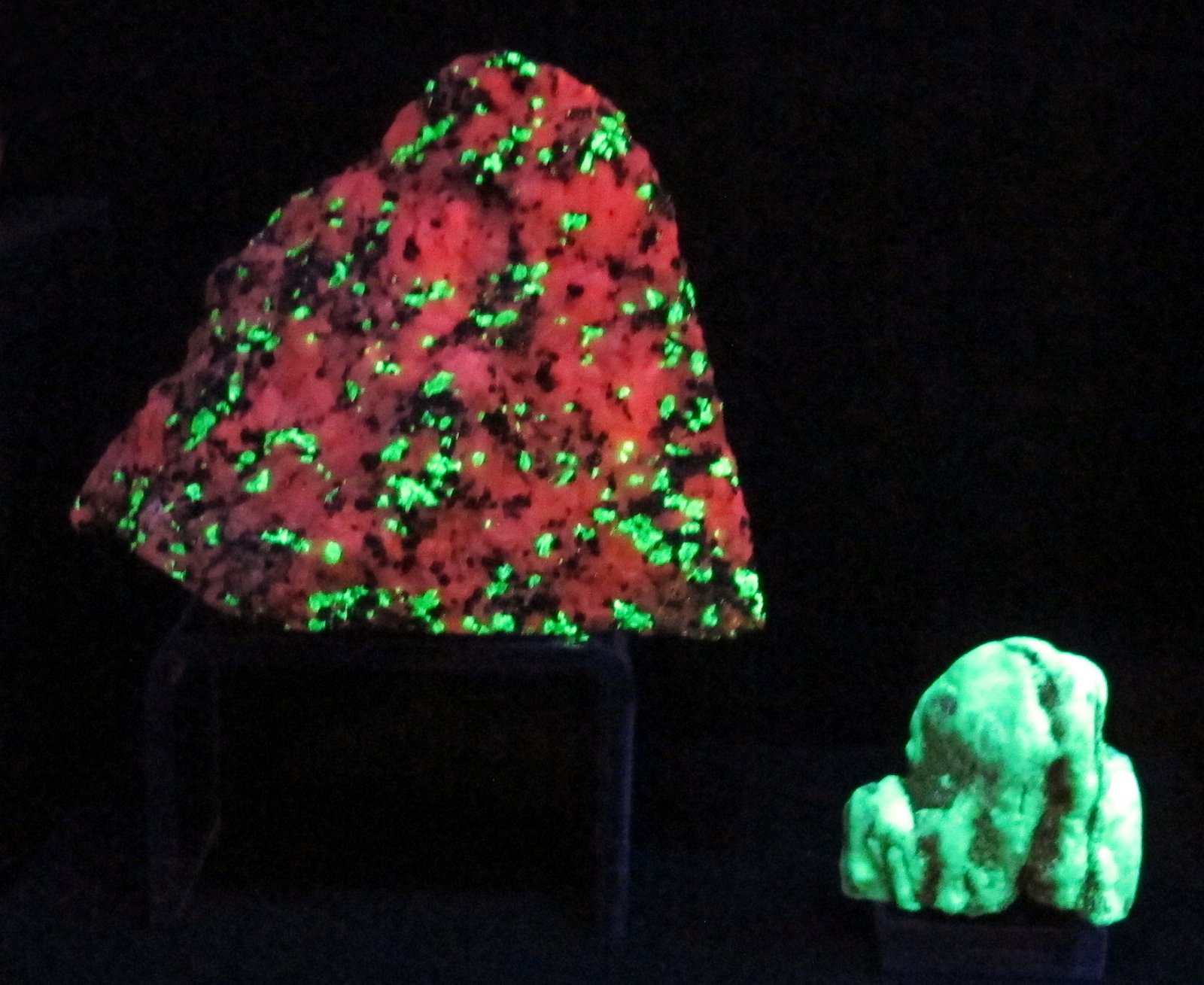 University of Florence Natural History Museum - Geology and Paleontology