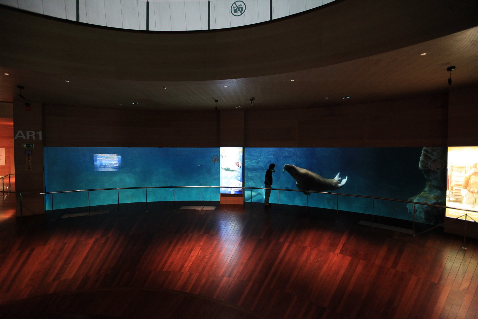 Oceanogràfic of Valencia