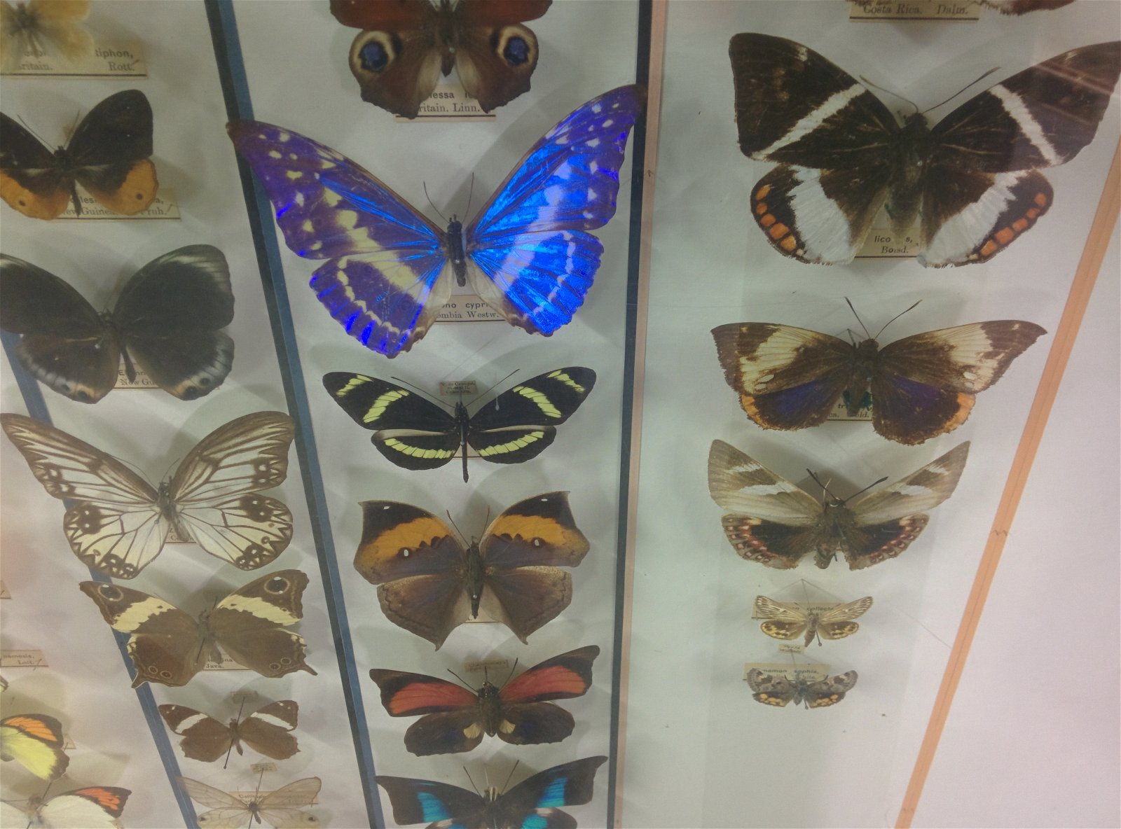 Museum Collections Centre