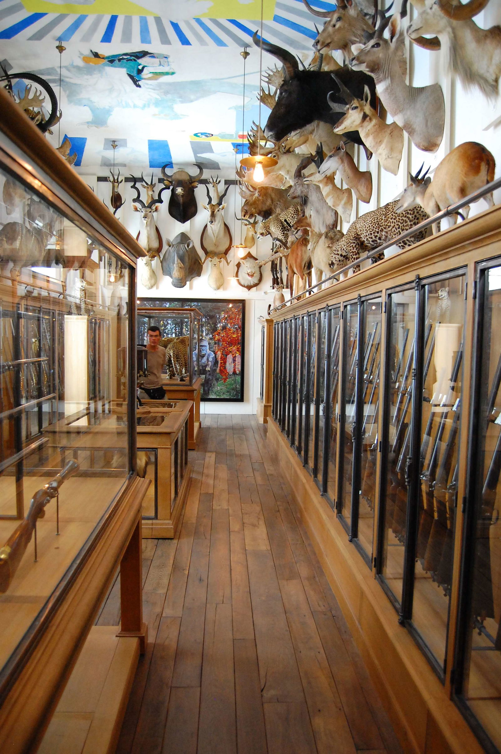 Musée De La Chasse Et De La Nature (Paris) - Visitor Information & Reviews