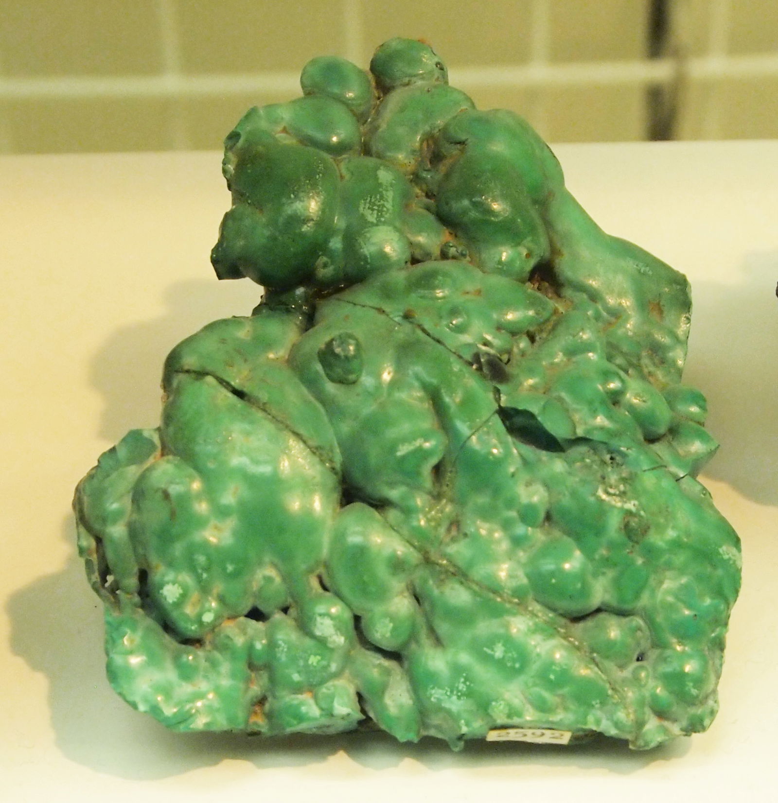 Museum Mensch und Natur