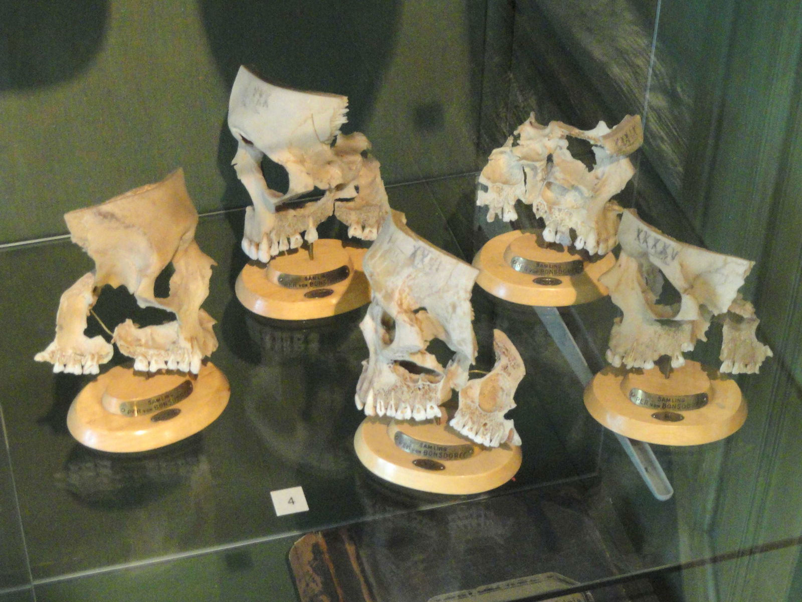 Helsinki University Museum