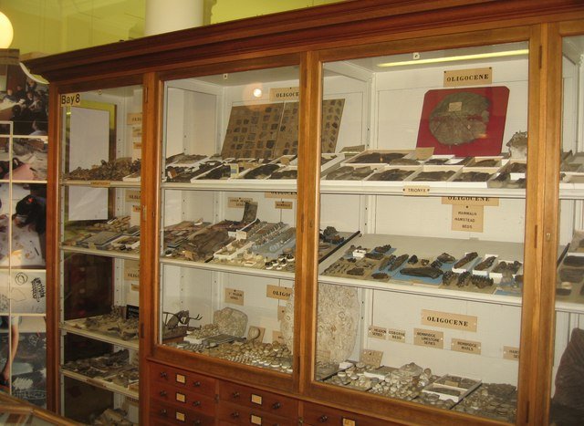 Sedgwick Museum of Earth Sciences