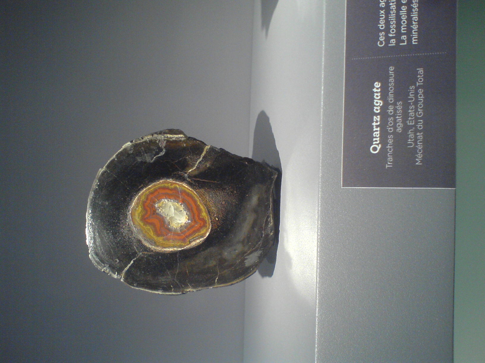 Galerie de Mineralogie et de Geologie