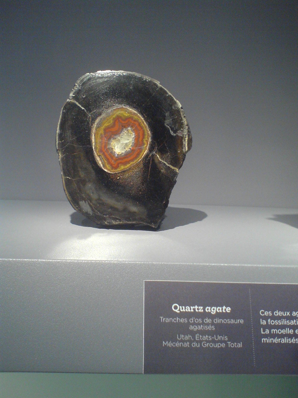 Gallery of Mineralogy and Geology