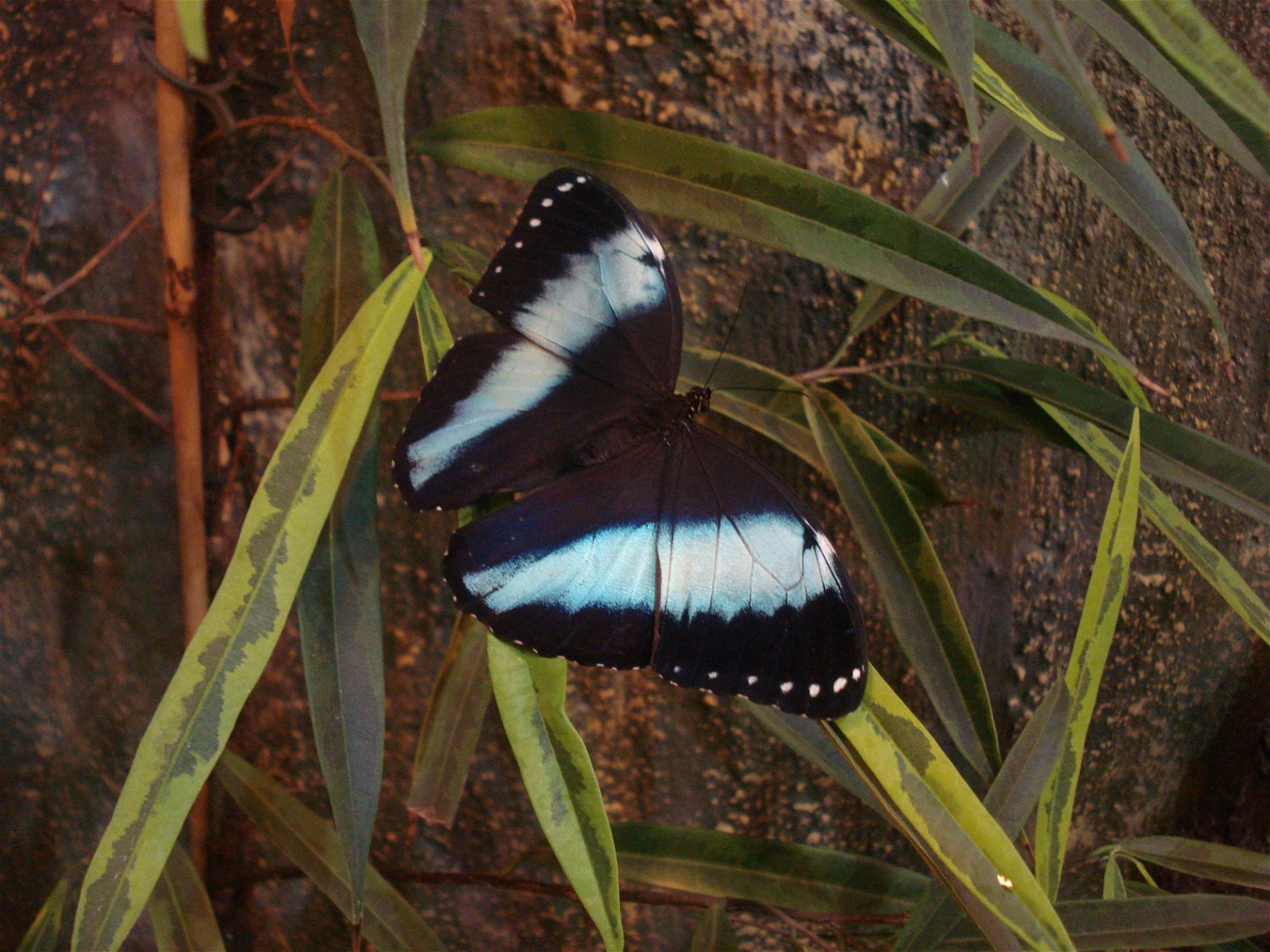Wroclaw Zoo & Africarium