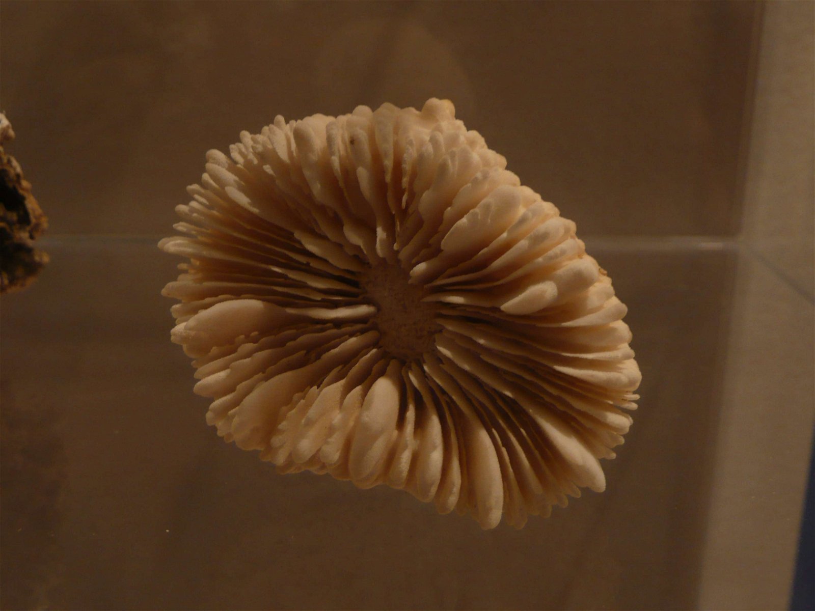 Aquarium de la Porte Dorée