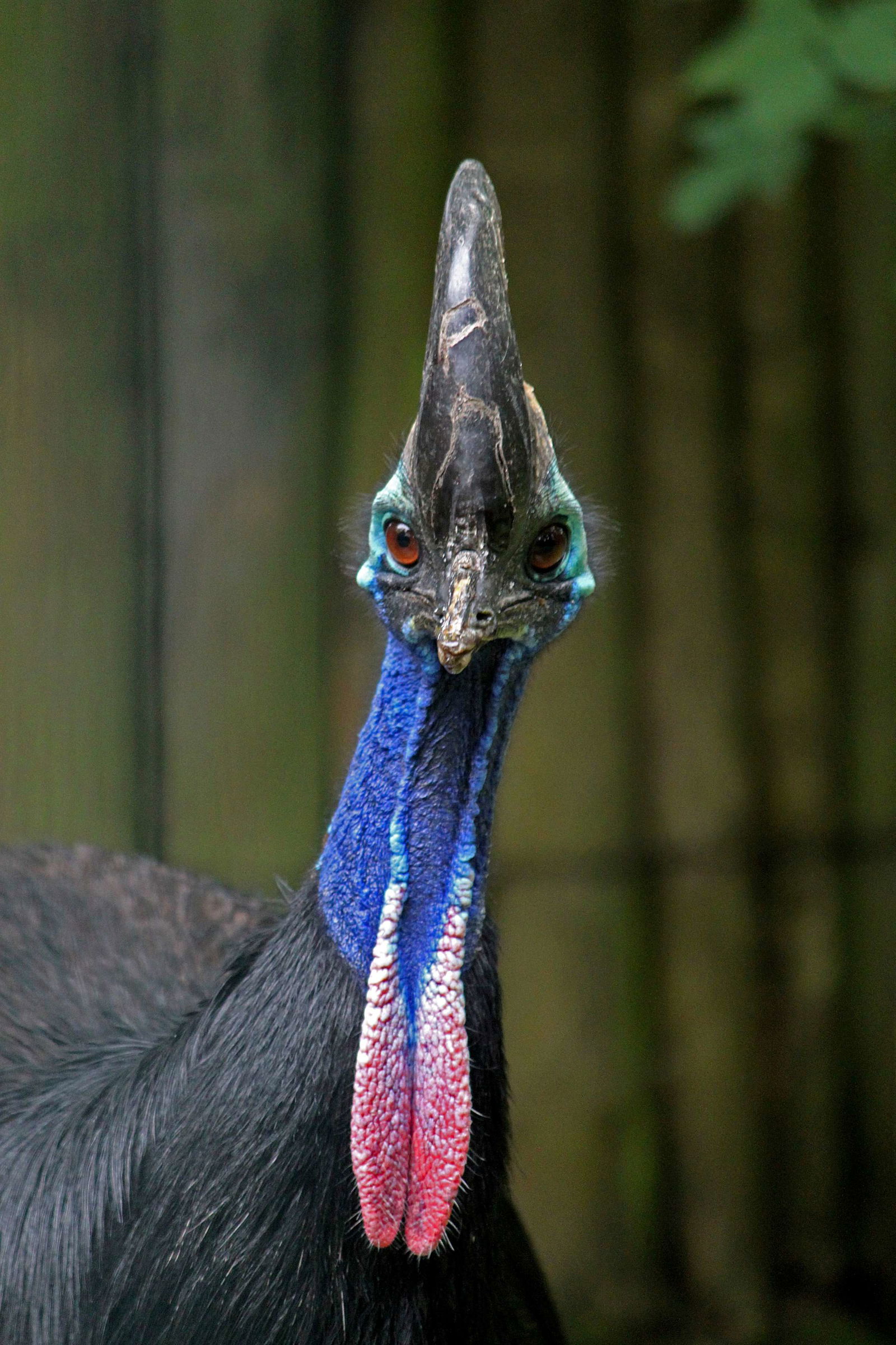 Zoologischer Garten Berlin