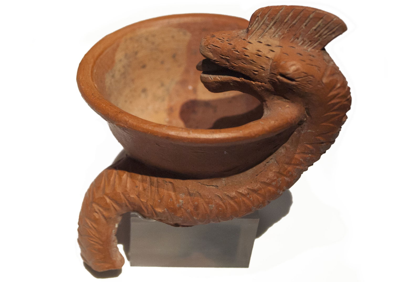 Roman Museum at the Hoher Markt