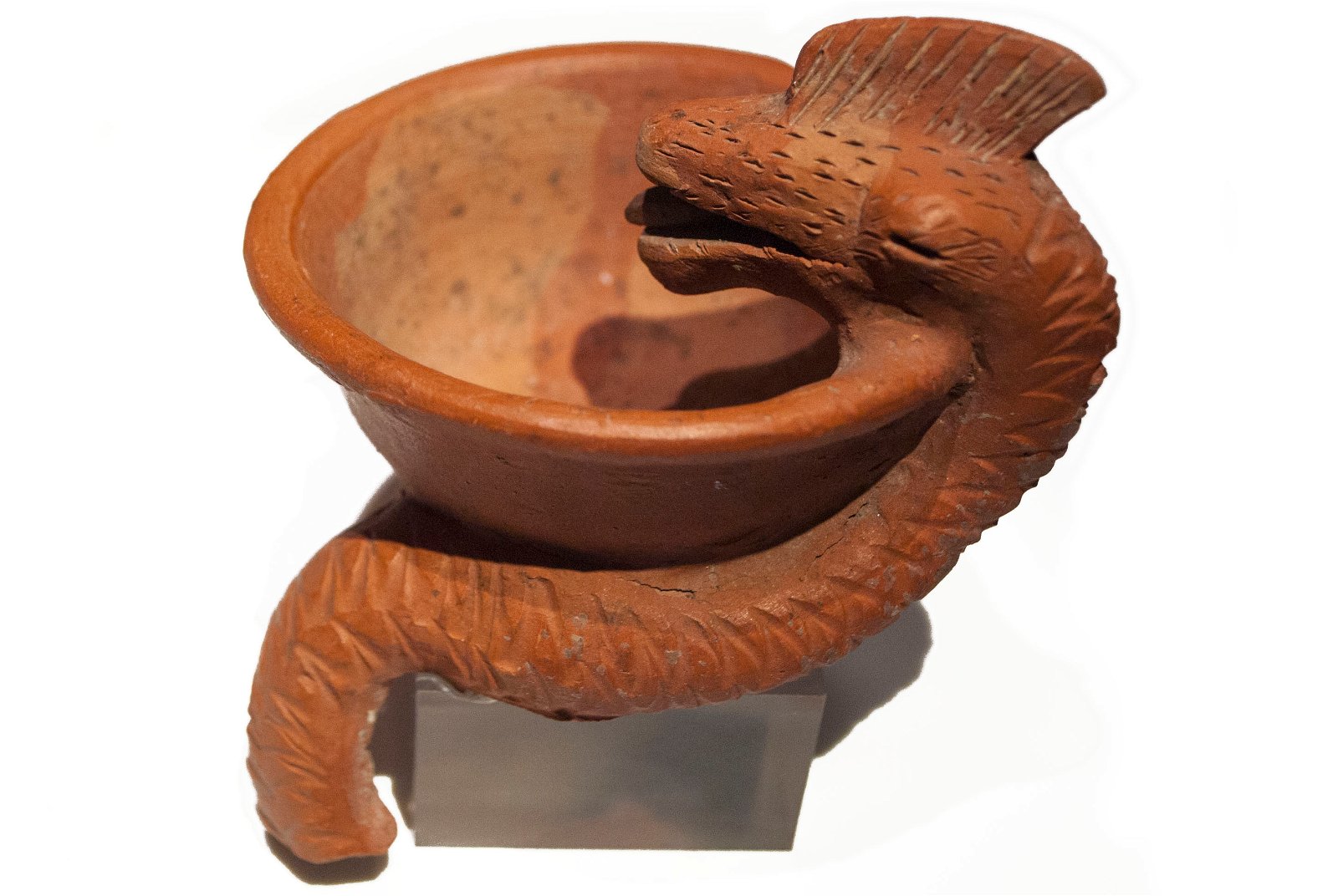 Roman Museum at the Hoher Markt