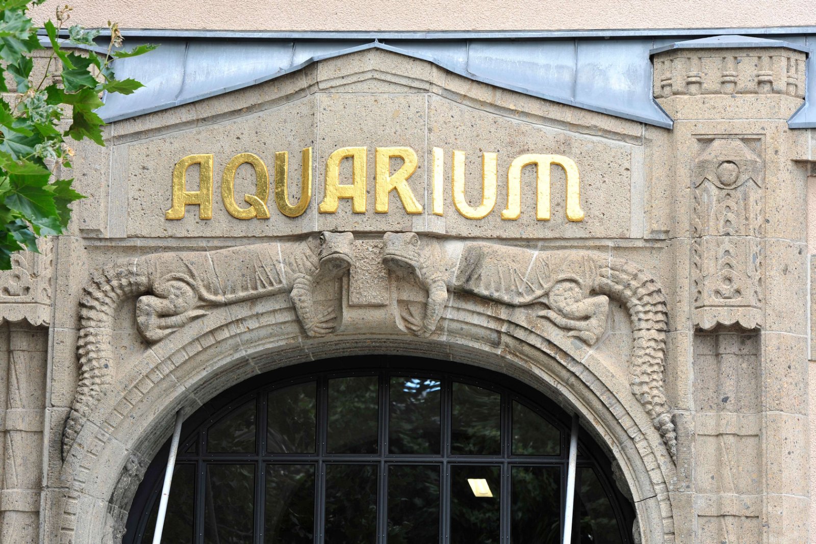 Aquarium Berlin (Berlin) - Visitor Information & Reviews