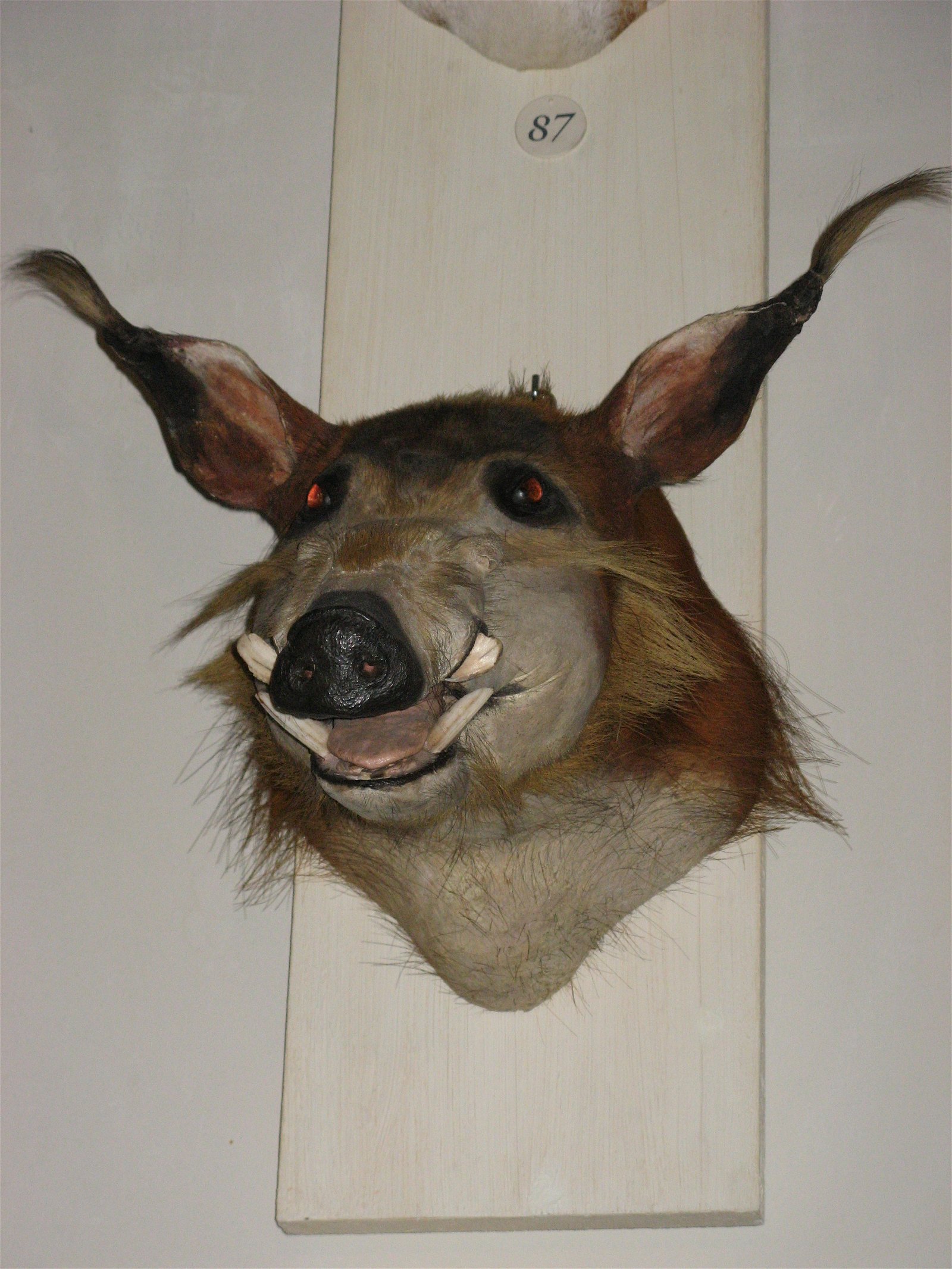 Musée de la Chasse et de la Nature