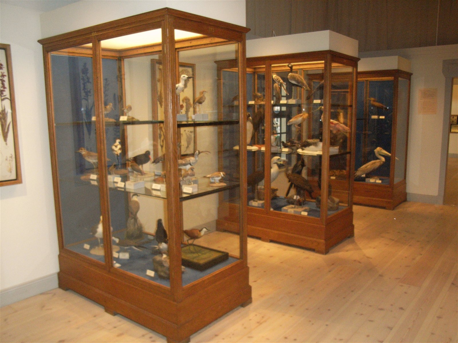 Swedish Museum of Natural History