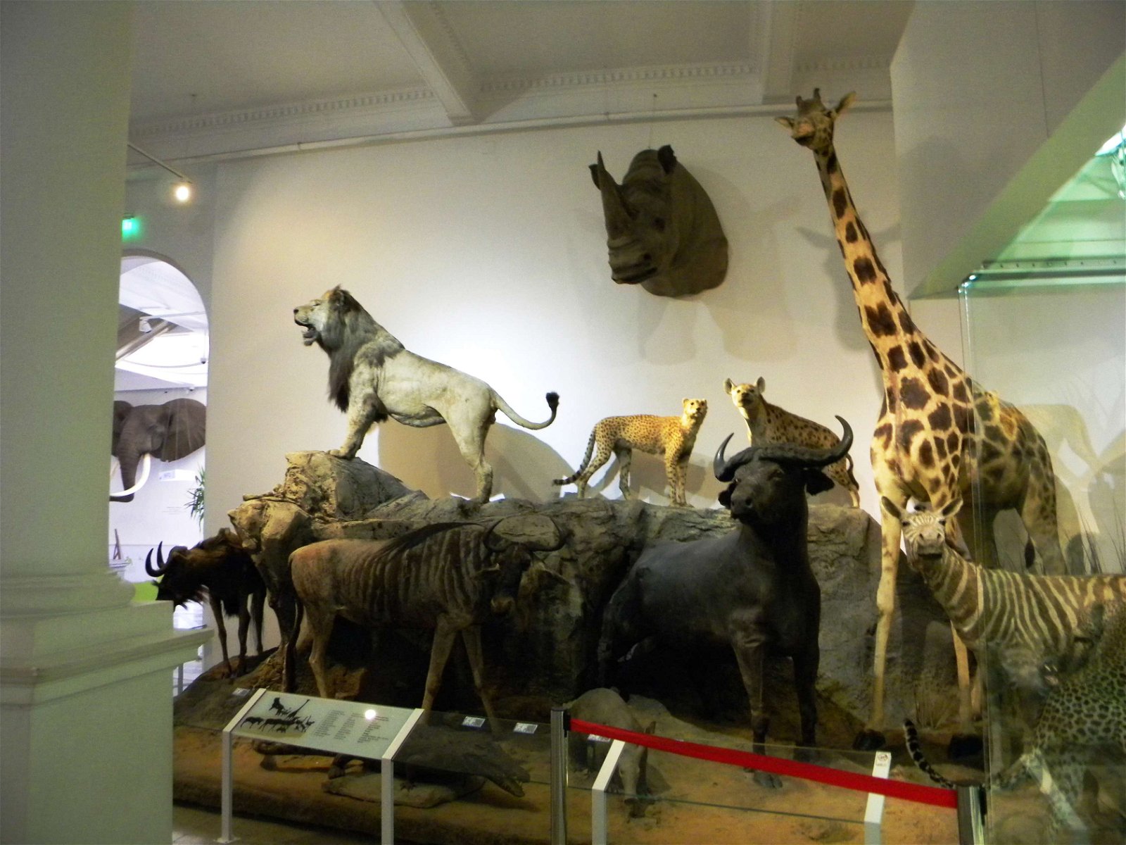 Grigore Antipa National Museum of Natural History