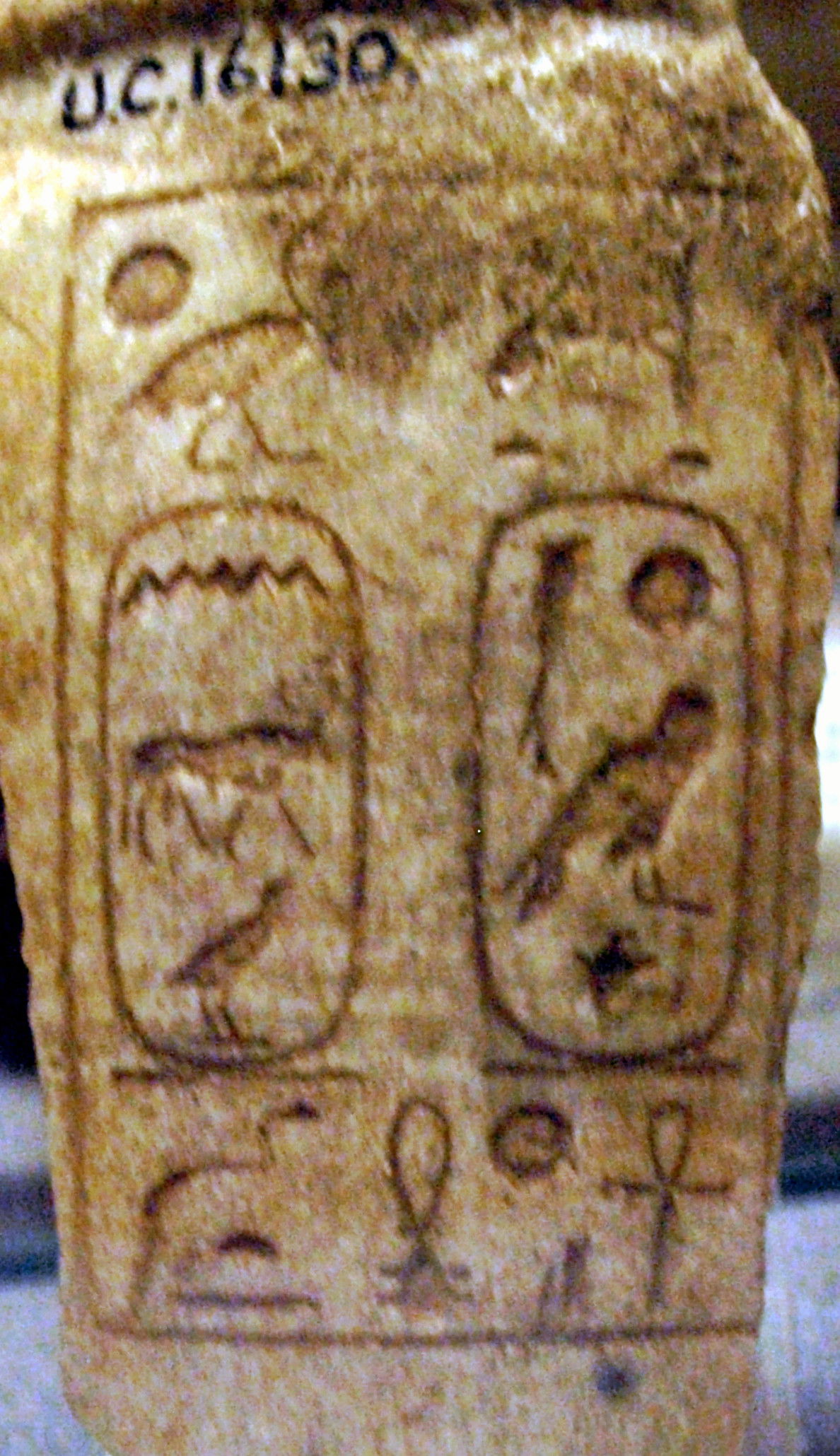 Petrie Museum of Egyptian Archaeology